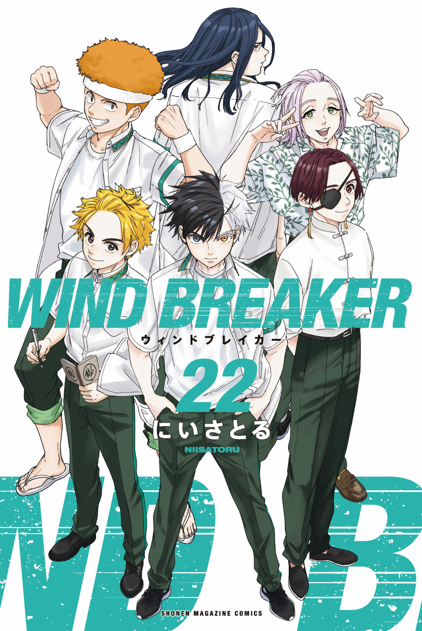 Wind Breaker (Nii Satoru)