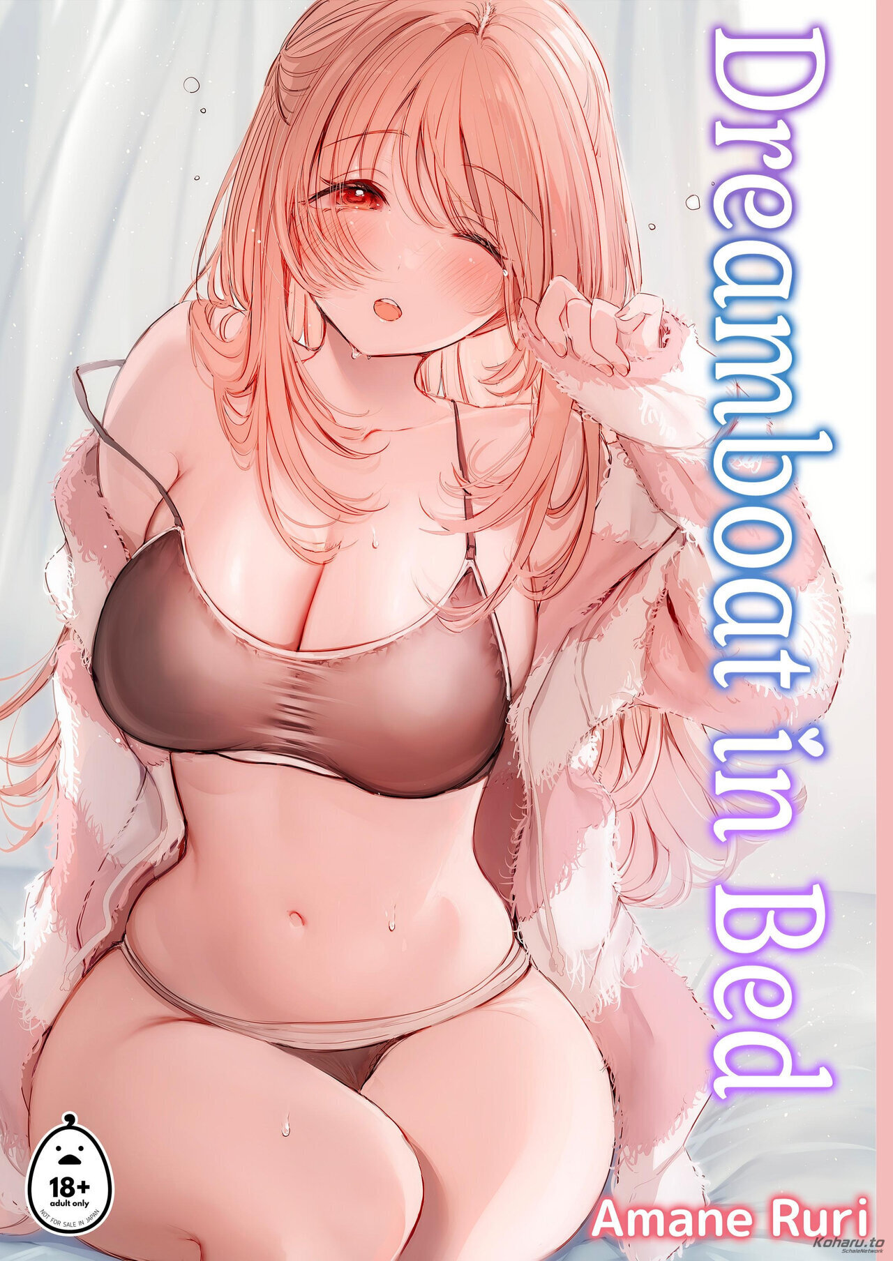dreambootnlknfa
